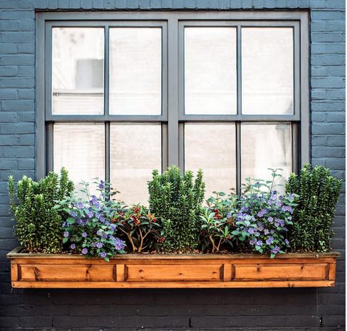 Fenster Pflanzen-Hänger